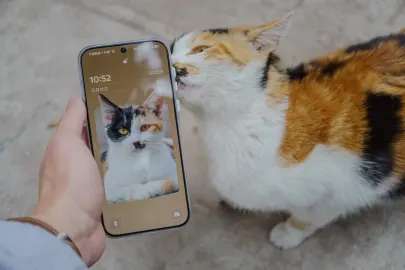 بيت كارت كازينو تطبيق الهاتف المحمول